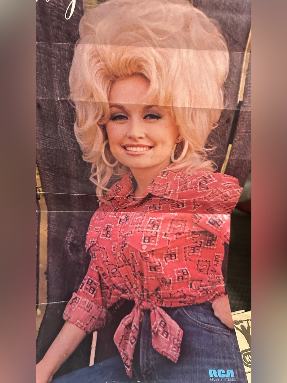 Vintage Dolly Parton Vinyl Lp Insert Poster Pink Printed RCA